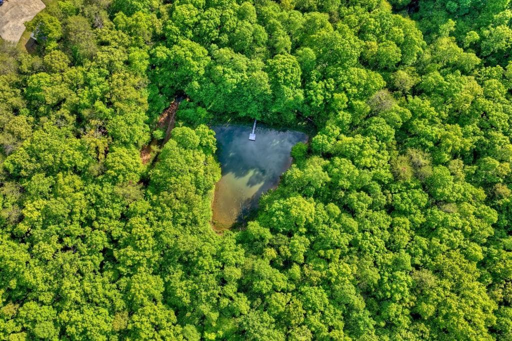 other for sale at 8.52 AC McNelley Road, Morganton, GA 30560