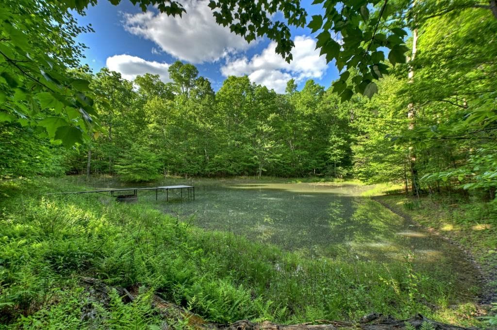 other for sale at 8.52 AC McNelley Road, Morganton, GA 30560 — photo 2