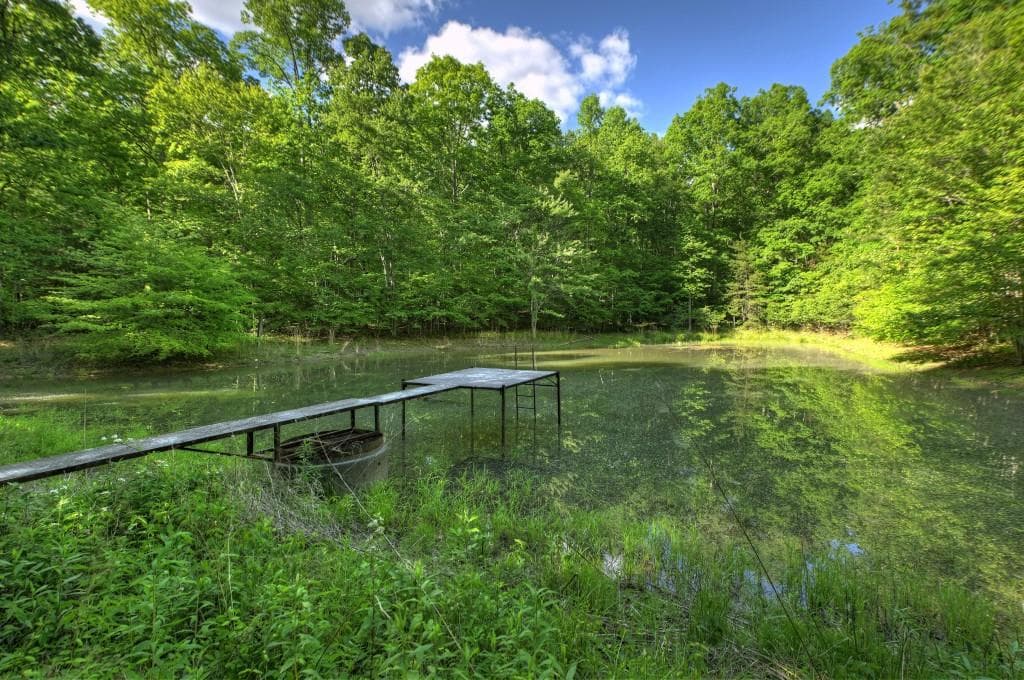 other for sale at 8.52 AC McNelley Road, Morganton, GA 30560 — photo 3