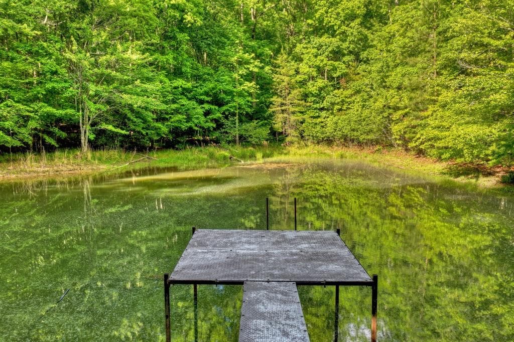 other for sale at 8.52 AC McNelley Road, Morganton, GA 30560 — photo 4