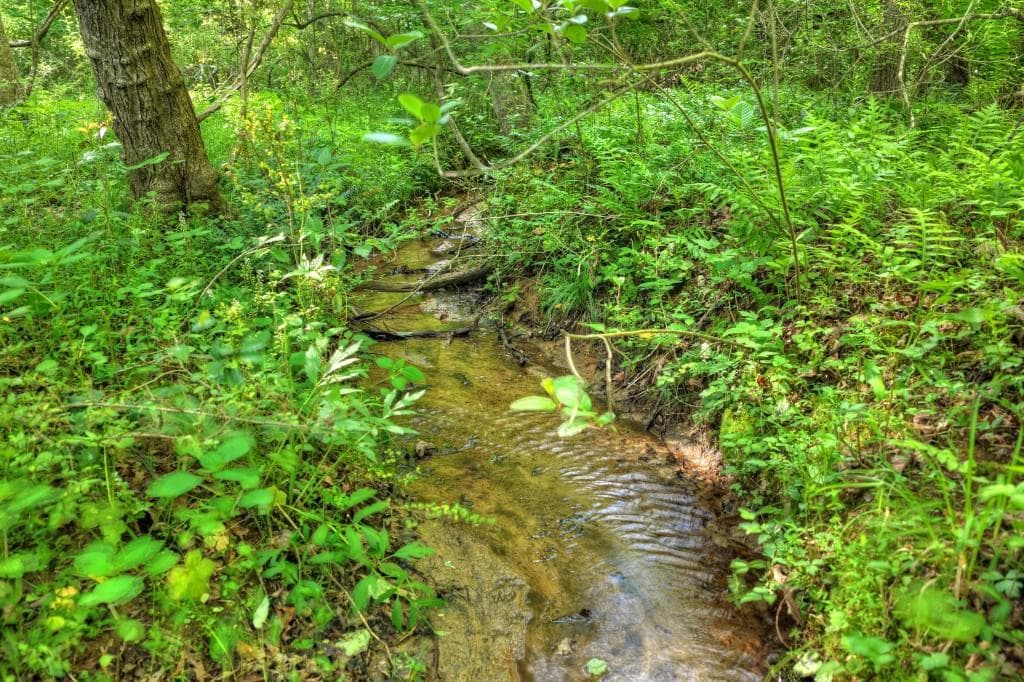 other for sale at 8.52 AC McNelley Road, Morganton, GA 30560 — photo 5