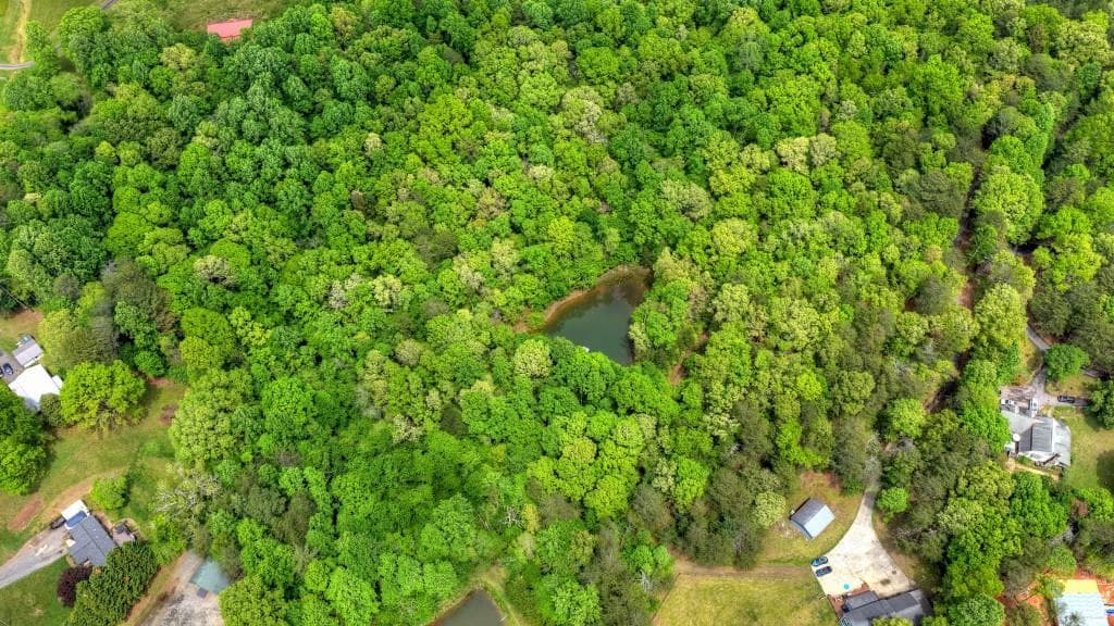 other for sale at 8.52 AC McNelley Road, Morganton, GA 30560 — photo 7