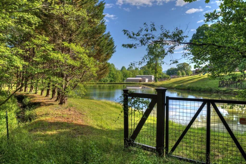 other for sale at 8.52 AC McNelley Road, Morganton, GA 30560 — photo 10