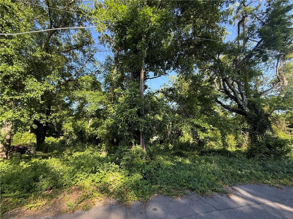 unimproved land for sale at 0 Hopewell Street, Rome, GA 30161 — photo 2