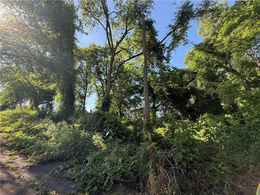unimproved land for sale at 0 Hopewell Street, Rome, GA 30161 — photo 3
