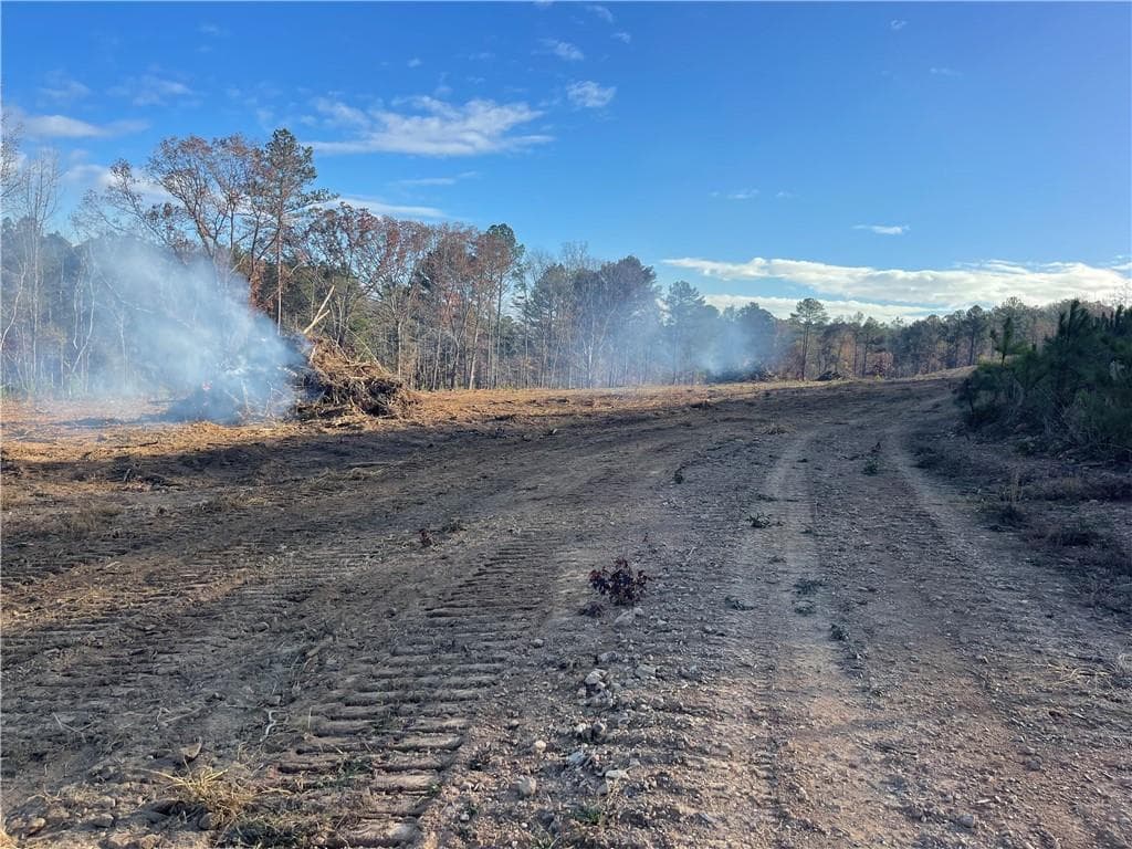 unimproved land for sale at 0A Johnson Lake Road #0A, Cedartown, GA 30125 — photo 2