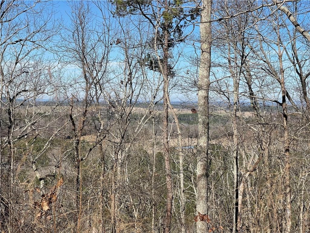 unimproved land for sale at 0A Johnson Lake Road #0A, Cedartown, GA 30125 — photo 3