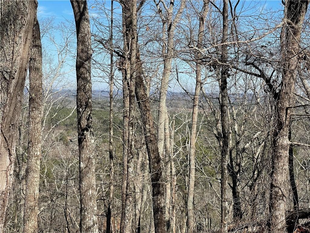 unimproved land for sale at 0A Johnson Lake Road #0A, Cedartown, GA 30125 — photo 4