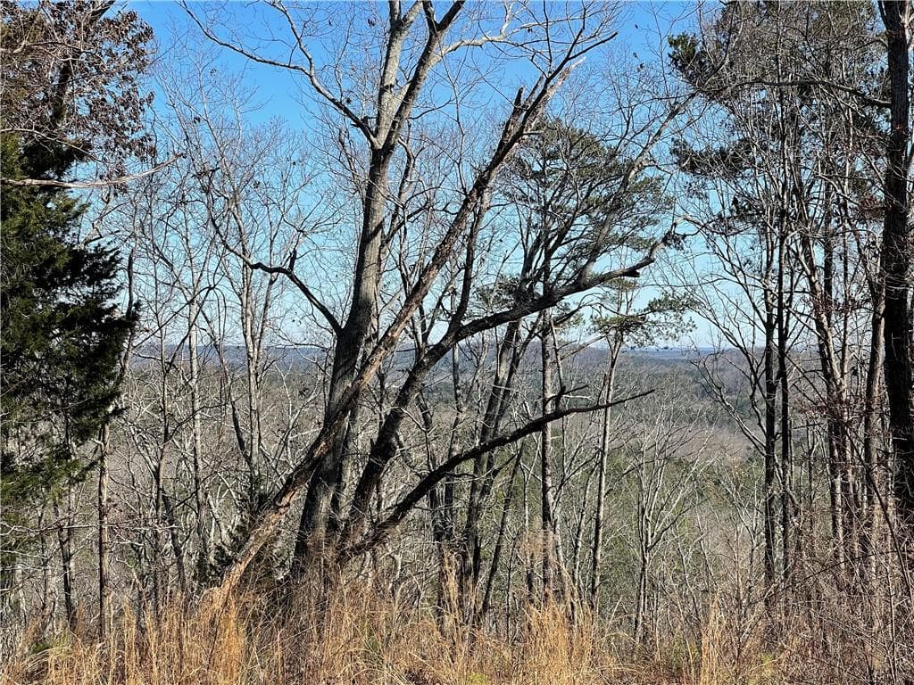 unimproved land for sale at 0A Johnson Lake Road #0A, Cedartown, GA 30125 — photo 5