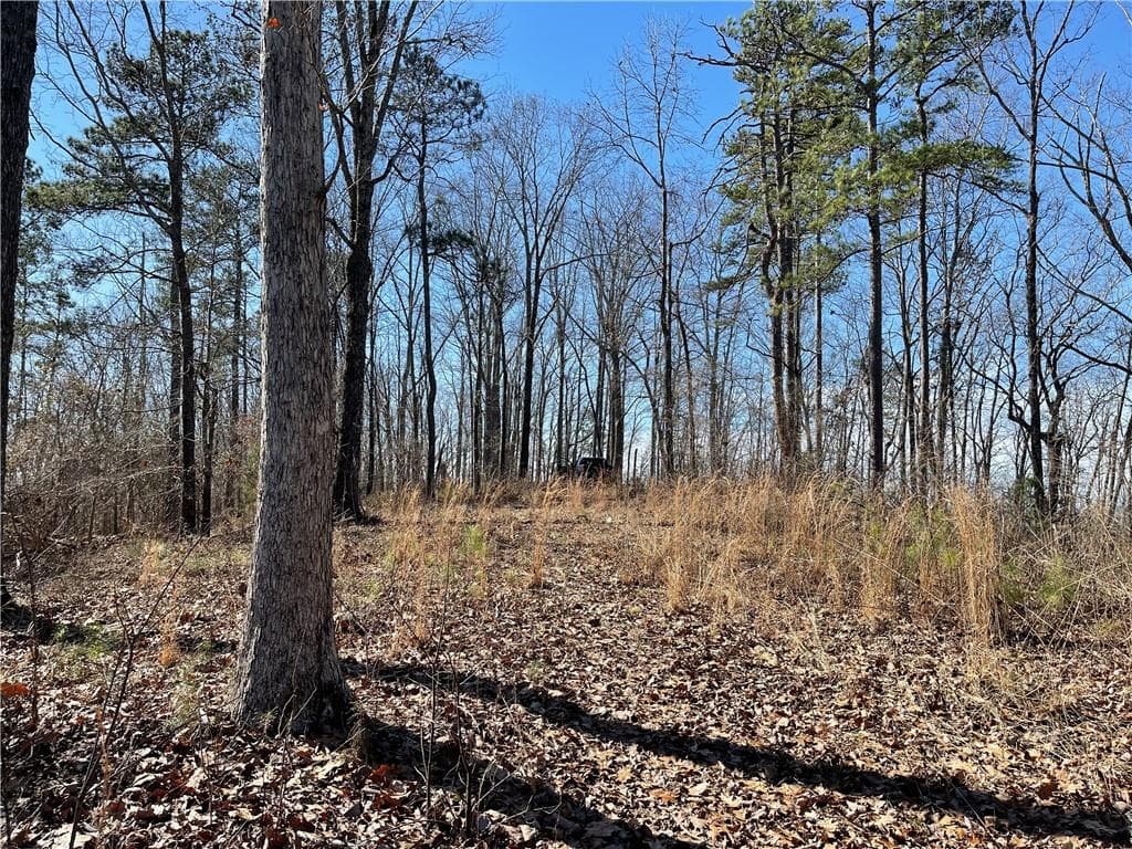 unimproved land for sale at 0A Johnson Lake Road #0A, Cedartown, GA 30125 — photo 6