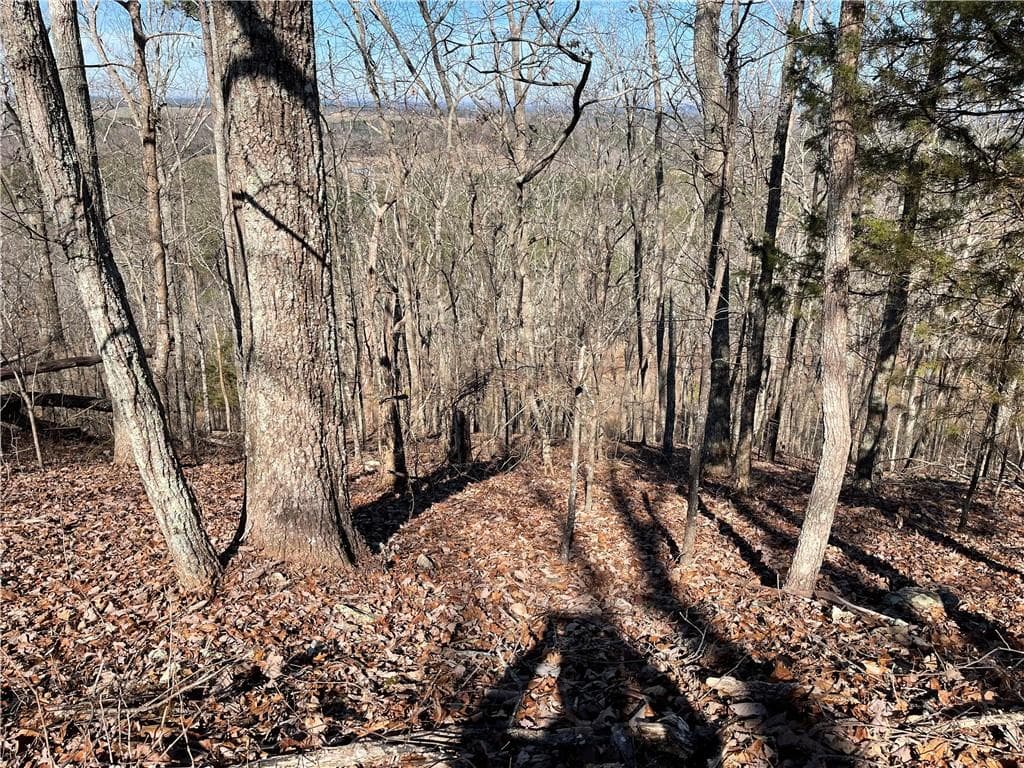 unimproved land for sale at 0A Johnson Lake Road #0A, Cedartown, GA 30125 — photo 7