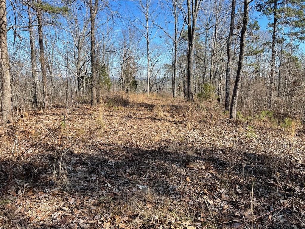 unimproved land for sale at 0A Johnson Lake Road #0A, Cedartown, GA 30125 — photo 8