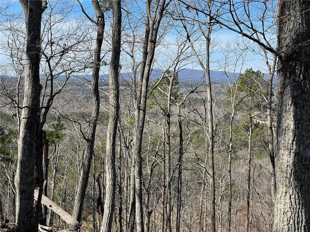 unimproved land for sale at 0A Johnson Lake Road #0A, Cedartown, GA 30125 — photo 9