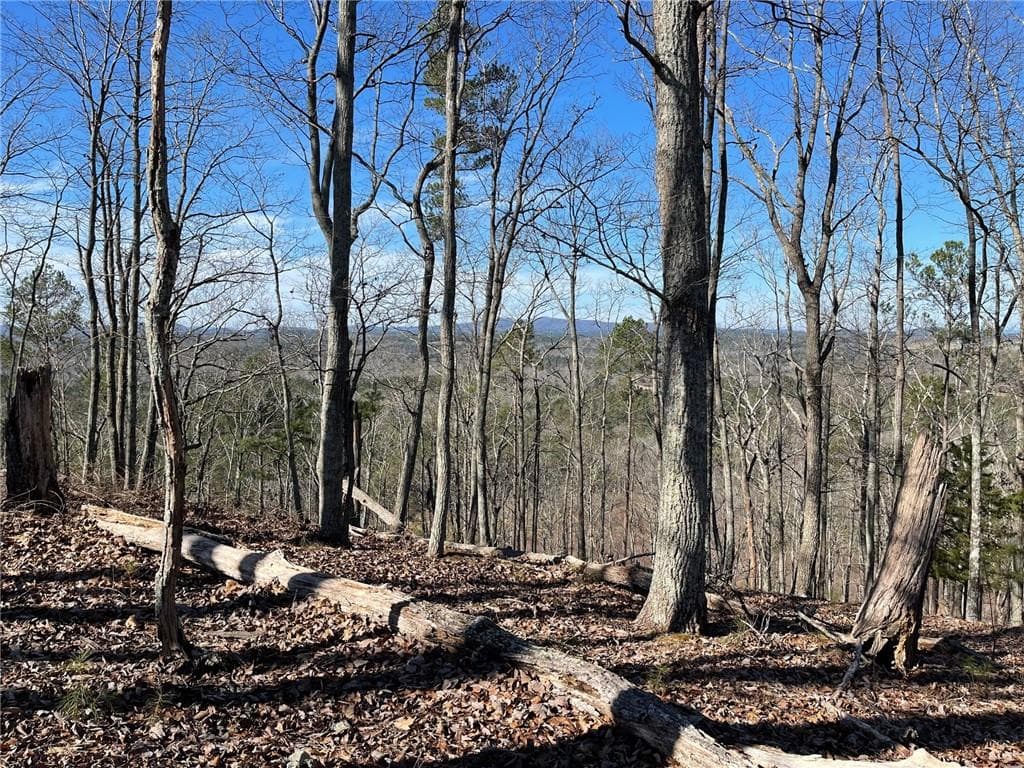 unimproved land for sale at 0A Johnson Lake Road #0A, Cedartown, GA 30125 — photo 10