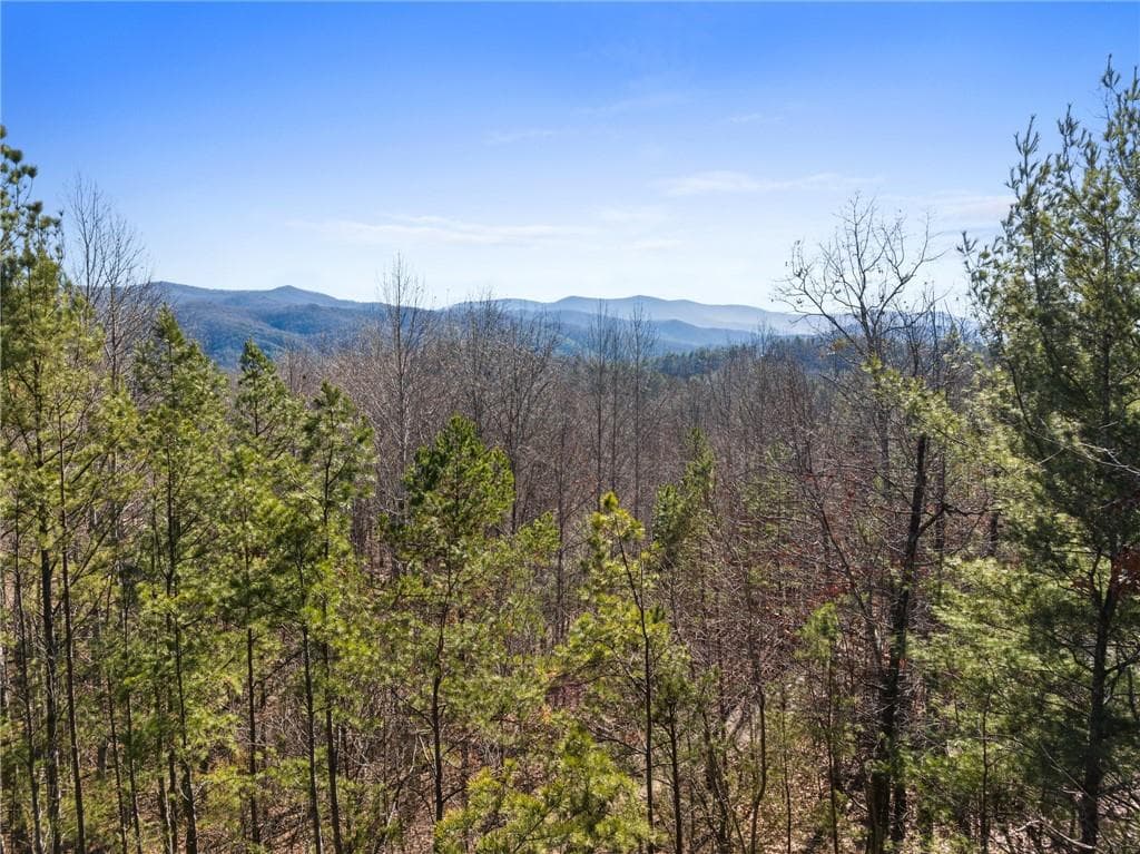 4 bedroom, 4 bathroom, 2,300 sq ft single family residence under contract at 572 Left Turn, Blue Ridge, GA 30513 — photo 4