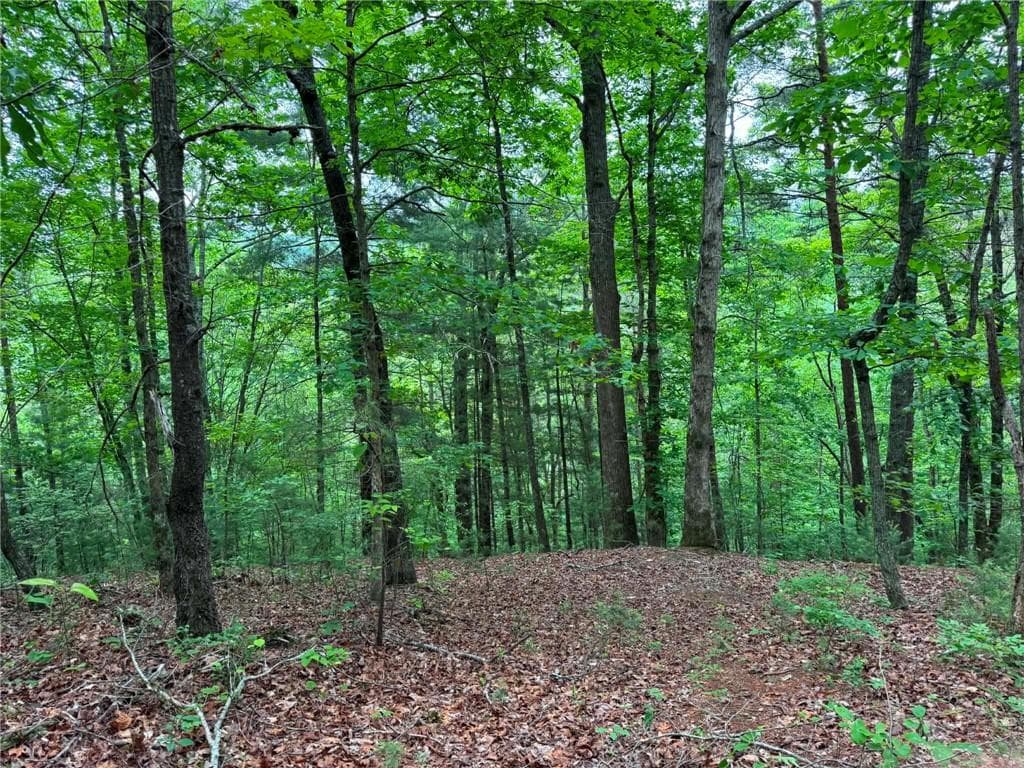 unimproved land for sale at 1674A Hunter Drive, Ranger, GA 30734 — photo 1 of 25