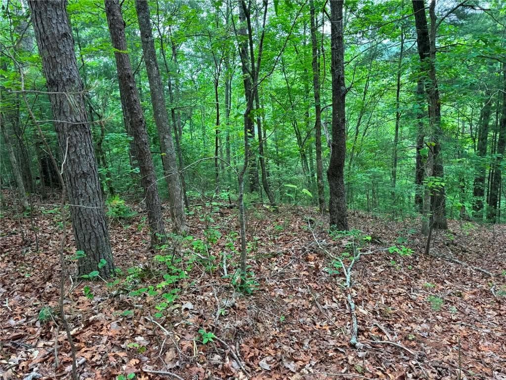 unimproved land for sale at 1674A Hunter Drive, Ranger, GA 30734 — photo 2