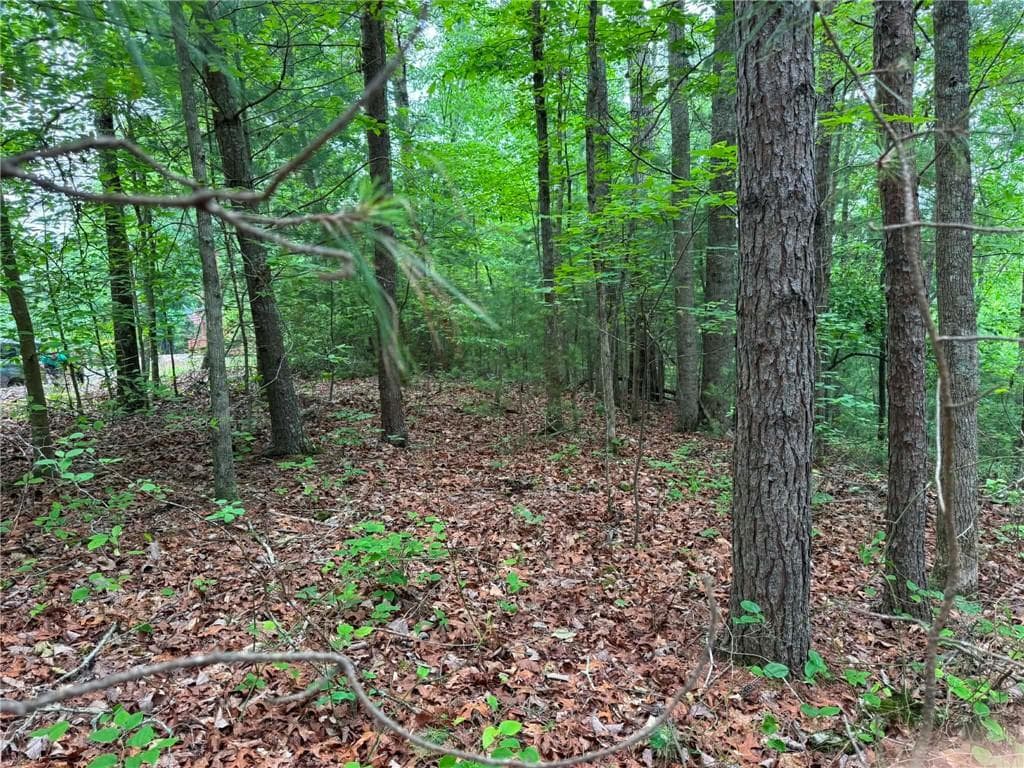 unimproved land for sale at 1674A Hunter Drive, Ranger, GA 30734 — photo 3