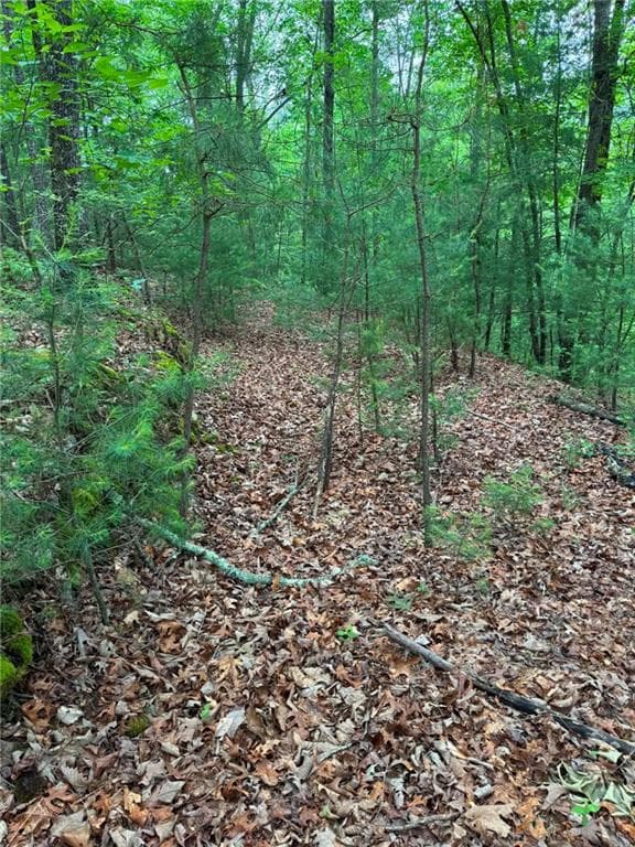 unimproved land for sale at 1674A Hunter Drive, Ranger, GA 30734 — photo 4
