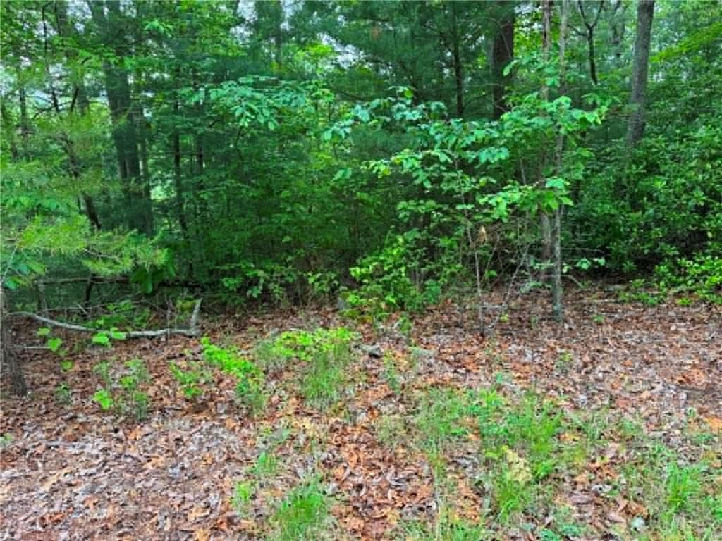 unimproved land for sale at 1674A Hunter Drive, Ranger, GA 30734 — photo 5