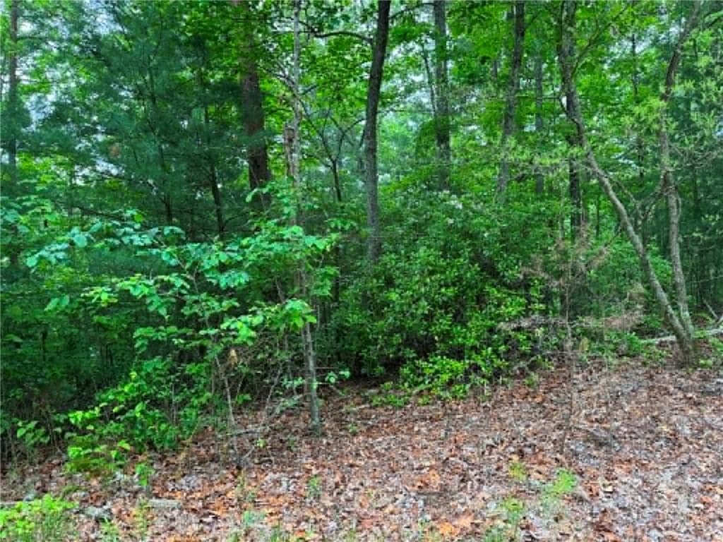unimproved land for sale at 1674A Hunter Drive, Ranger, GA 30734 — photo 6