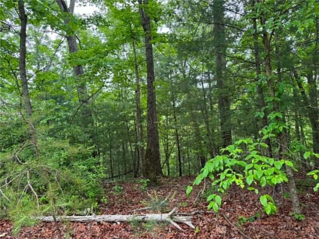 unimproved land for sale at 1674A Hunter Drive, Ranger, GA 30734 — photo 7