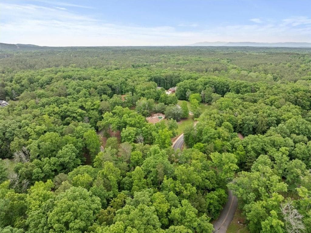 single family residence for sale at 396 Russell Hill Estates Drive, Sugar Valley, GA 30746 — photo 3