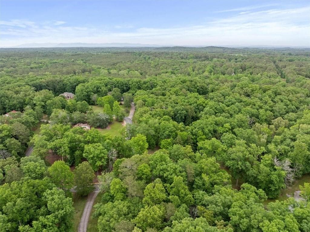 single family residence for sale at 396 Russell Hill Estates Drive, Sugar Valley, GA 30746 — photo 4