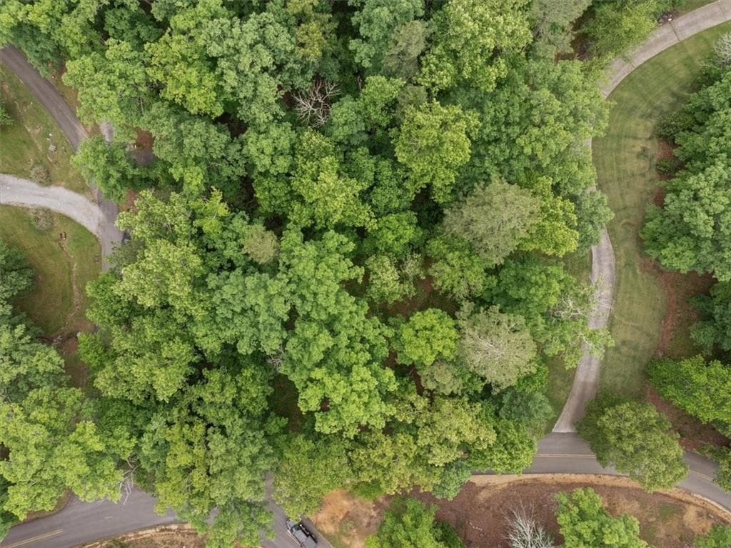 single family residence for sale at 396 Russell Hill Estates Drive, Sugar Valley, GA 30746 — photo 6