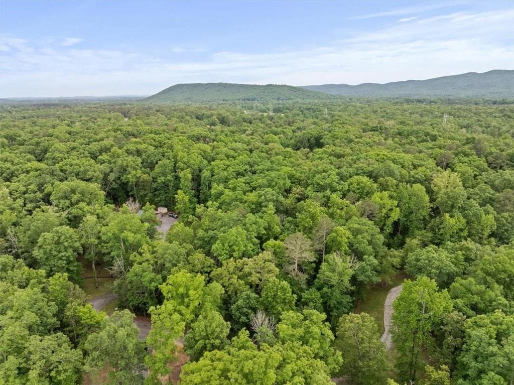 single family residence for sale at 396 Russell Hill Estates Drive, Sugar Valley, GA 30746 — photo 7