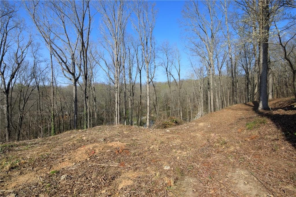 single family residence for sale at 6165 Reives Road, Cumming, GA 30041 — photo 9