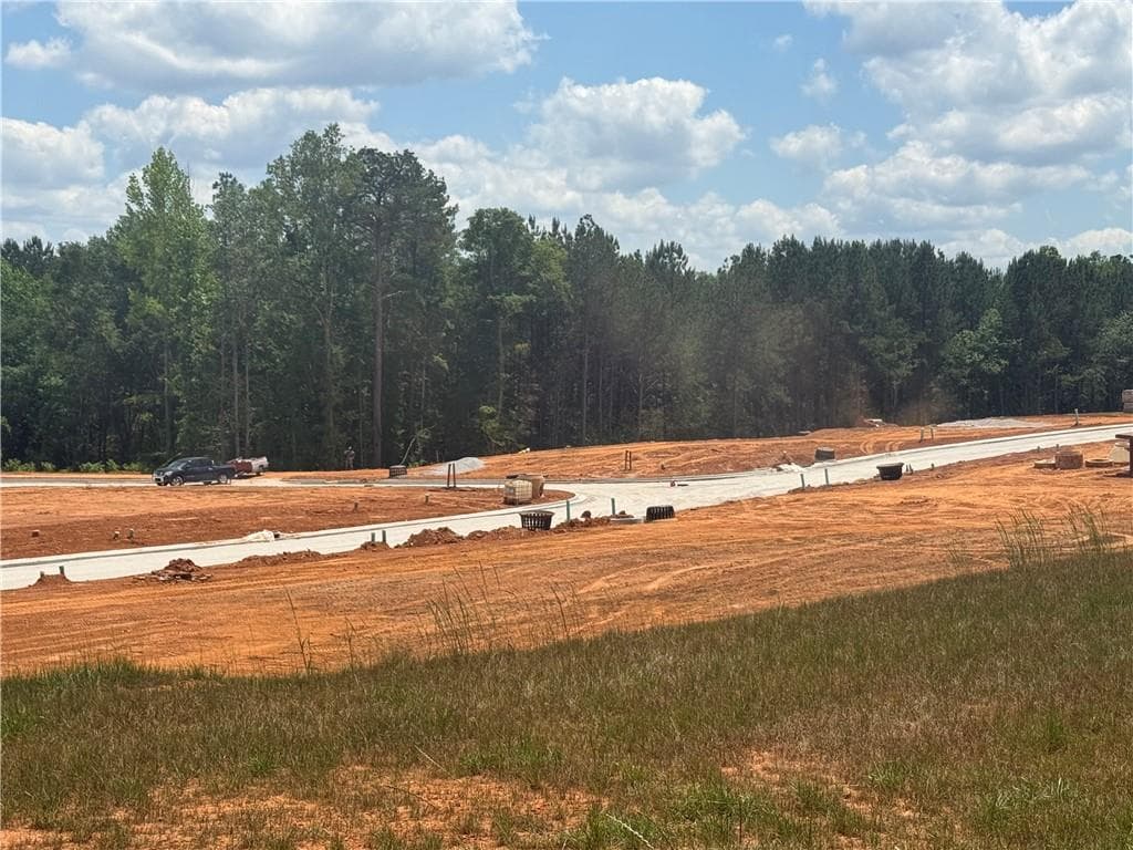 multi family for sale at 0 Skinner Road, Carrollton, GA 30117 — photo 8