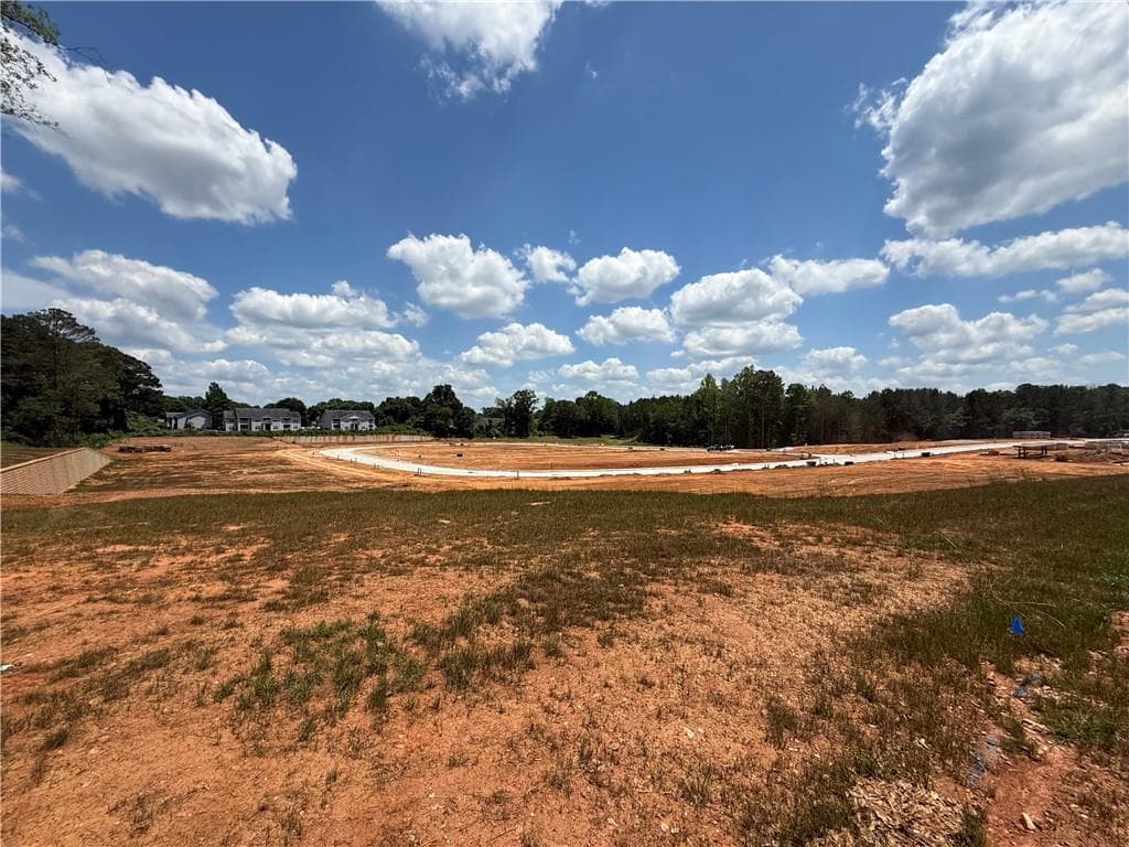 multi family for sale at 0 Skinner Road, Carrollton, GA 30117 — photo 9