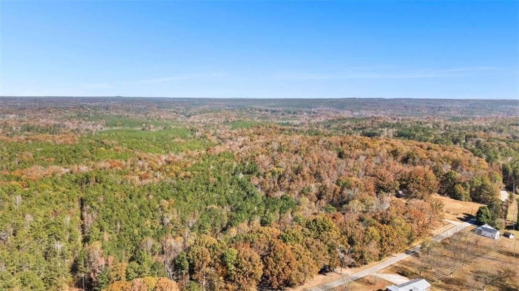unimproved land for sale at 0 Cross Plains Road, Carrollton, GA 30116 — photo 2