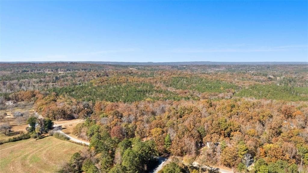 unimproved land for sale at 0 Cross Plains Road, Carrollton, GA 30116 — photo 4