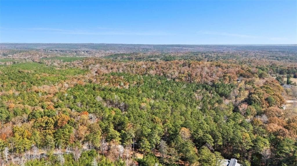 unimproved land for sale at 0 Cross Plains Road, Carrollton, GA 30116 — photo 6