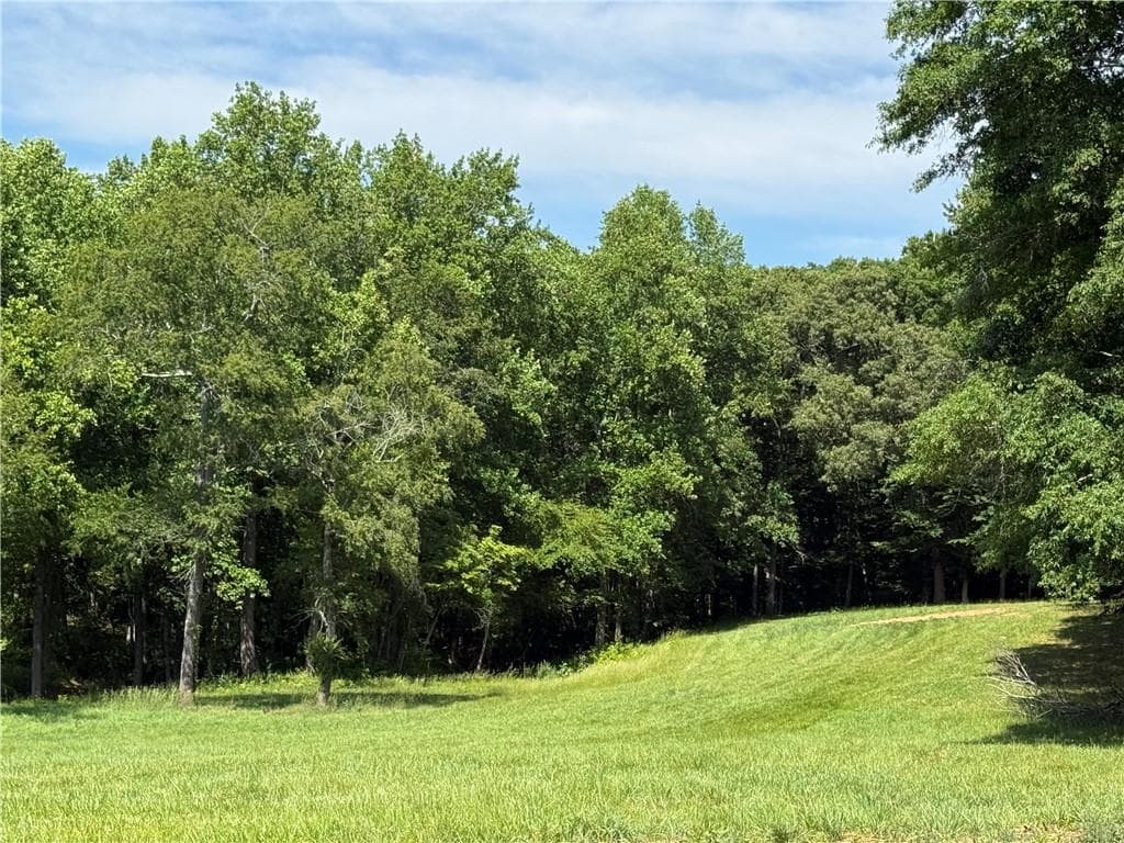 3 bedroom, 2 bathroom, 1,680 sq ft single family residence for sale at 603 Wall Bridge Road, Clarkesville, GA 30523 — photo 3