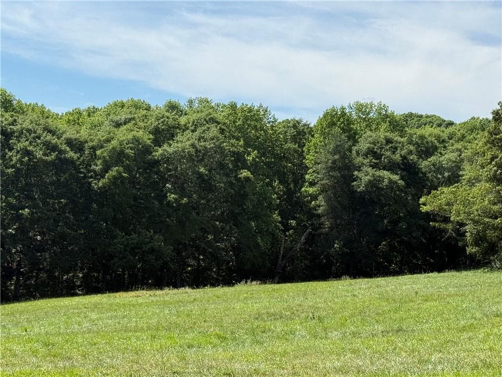 3 bedroom, 2 bathroom, 1,680 sq ft single family residence for sale at 603 Wall Bridge Road, Clarkesville, GA 30523 — photo 4