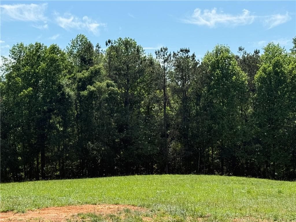 3 bedroom, 2 bathroom, 1,680 sq ft single family residence for sale at 603 Wall Bridge Road, Clarkesville, GA 30523 — photo 5