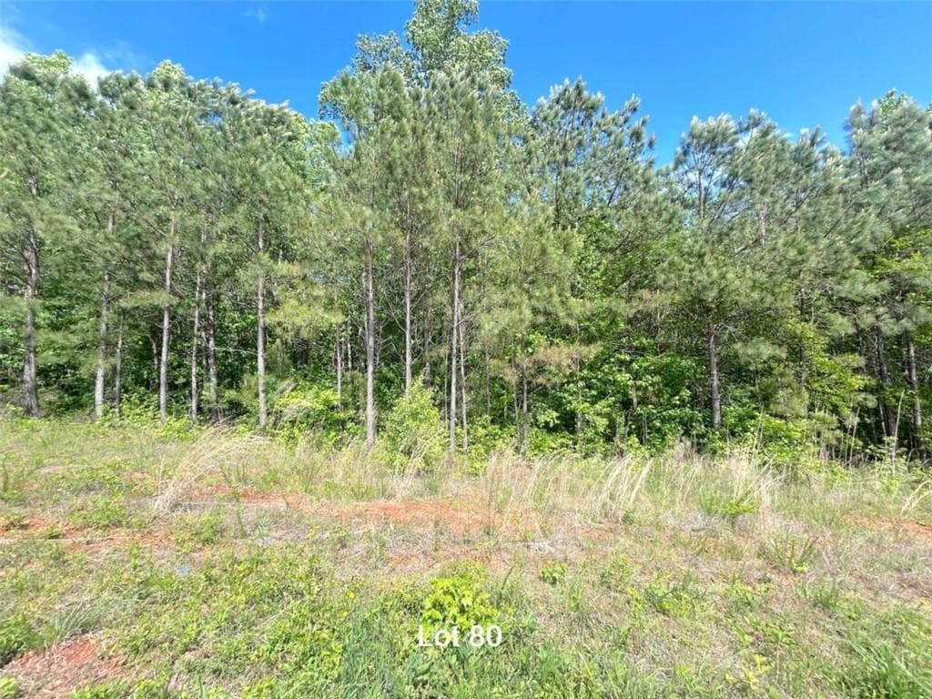 single family residence for sale at 208 Oakdale Way, Temple, GA 30179 — photo 8