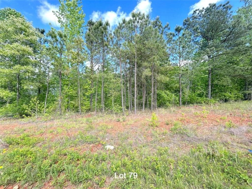 single family residence for sale at 208 Oakdale Way, Temple, GA 30179 — photo 10