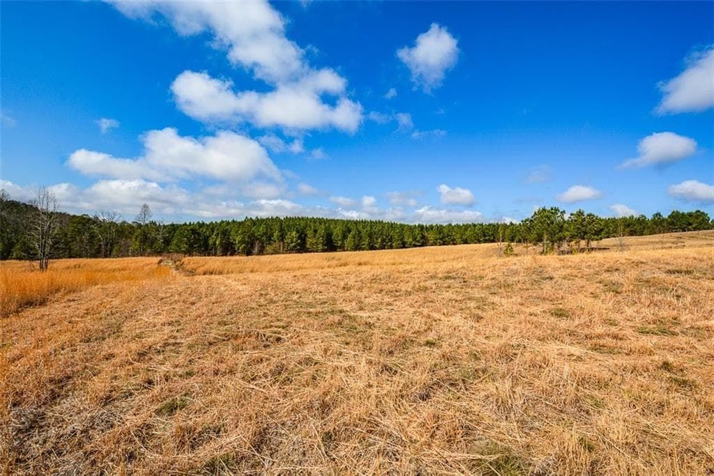 single family residence for sale at 119 Inland Drive 3 acres, Talking Rock, GA 30175 — photo 3
