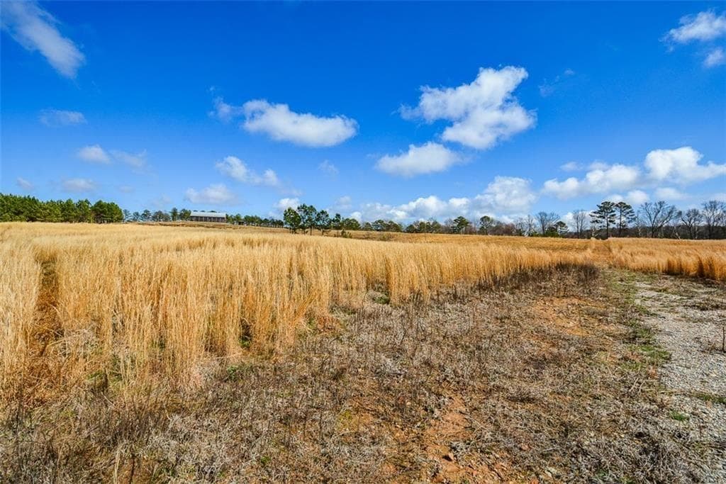 single family residence for sale at 119 Inland Drive 3 acres, Talking Rock, GA 30175 — photo 4