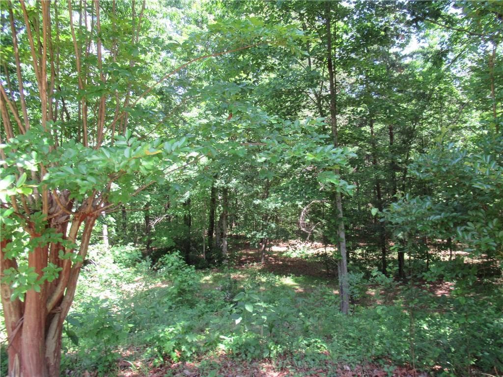 3 bedroom, 5 bathroom, 3,580 sq ft single family residence for sale at 620 Mount Pleasant Church Road, Cleveland, GA 30528 — photo 4