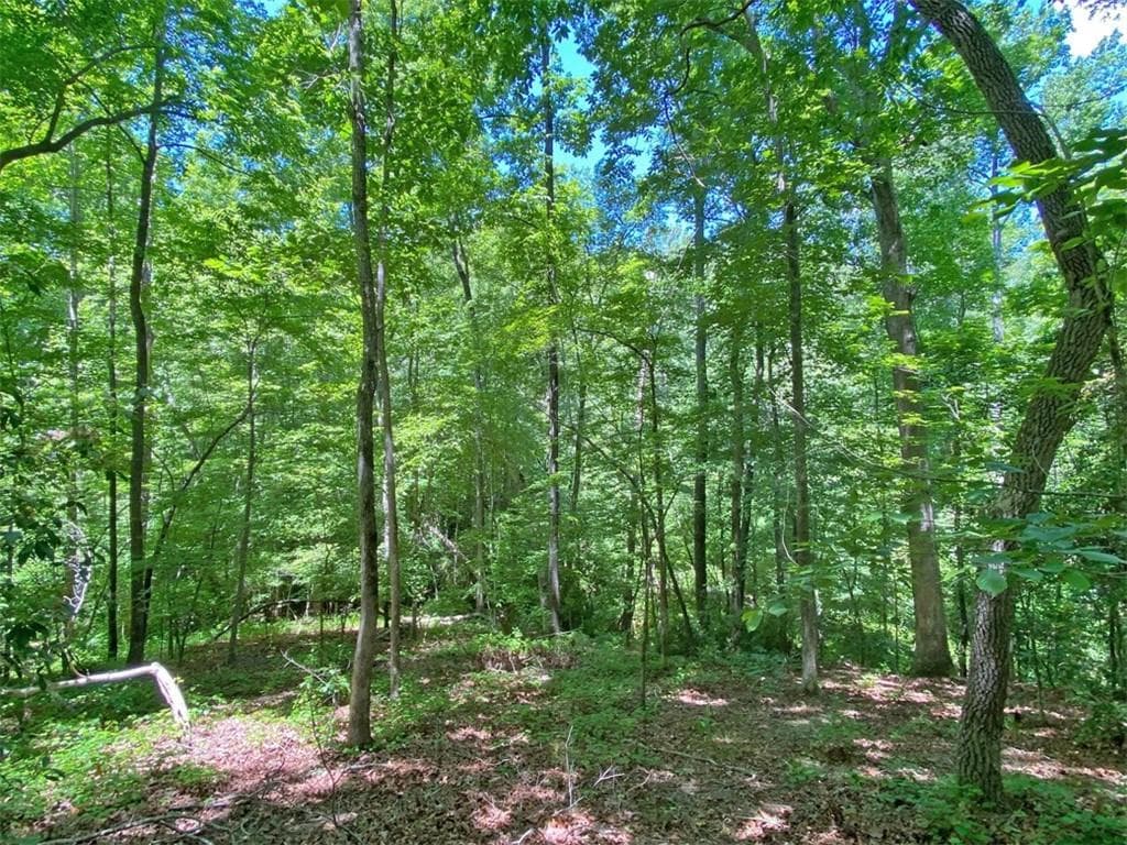 unimproved land for sale at 0 Hickory Nut Trail, Dahlonega, GA 30533