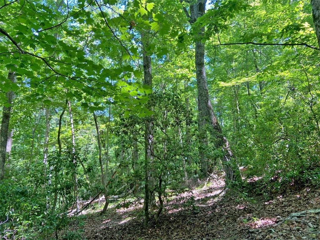 unimproved land for sale at 0 Hickory Nut Trail, Dahlonega, GA 30533 — photo 2