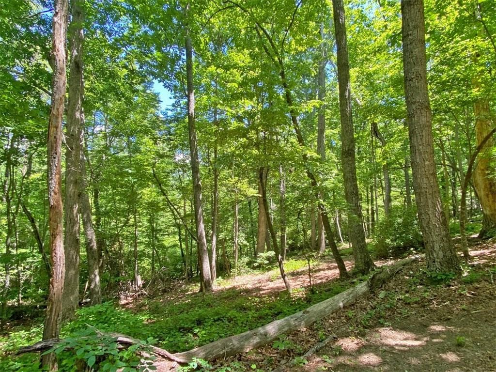 unimproved land for sale at 0 Hickory Nut Trail, Dahlonega, GA 30533 — photo 3