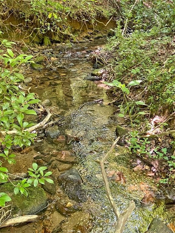 unimproved land for sale at 0 Hickory Nut Trail, Dahlonega, GA 30533 — photo 5