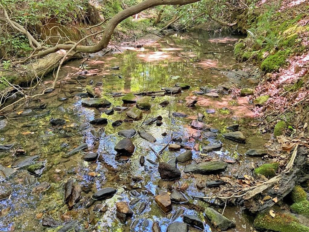 unimproved land for sale at 0 Hickory Nut Trail, Dahlonega, GA 30533 — photo 7