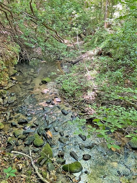 unimproved land for sale at 0 Hickory Nut Trail, Dahlonega, GA 30533 — photo 8